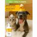 JeAdams Dog and cat shampoo - Buy Online on GoSupps.com
