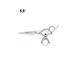 Kiepe Scissors for haircuts Professional 5.5 "inch - Buy Online on GoSupps.com
