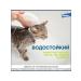 Elanco Foretest collar from ticks and fleas for cats 38 cm - Buy Online on GoSupps.com