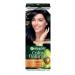 Garnier Persistent hair cream Color Naturals 1