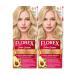 Florex Persistent hair cream for hair tone 8.5 White sun