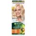 Garnier Persistent hair cream Color Naturals 10