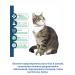 Ellanur Flea and ticks collar for a cat - Buy Online on GoSupps.com
