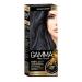 Gamma Cream-painting Perfect color tone 2.0 black sapphire - Buy Online on GoSupps.com