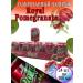 Drinking drink Royal Grant 24 pcs 300 ml