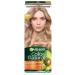 Garnier Persistent Cream for Hair Color Naturals 9.132