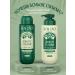 Solzao Hair shampoo volume from roots and seal 400 ml - Buy Online on GoSupps.com