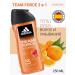 adidas Team Force shower gel 3 in 1 250 ml