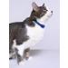 Fitodoc collar for cats 35cm from fleas - Buy Online on GoSupps.com