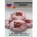 to Murashki Handmade soap strawberries set 3pcs - Buy Online on GoSupps.com
