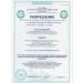Elena Collagen Peptides - peptides collagen with the taste of green tea - Buy Online on GoSupps.com