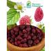 Rusovo Podvorye Raspberry forest sluggish 400 g - Buy Online on GoSupps.com