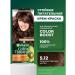 Garnier Persistent hair cream Color Naturals 5.12