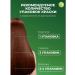 Garnier Persistent hair cream Color Naturals 5.12 - Buy Online on GoSupps.com