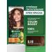 Garnier Persistent hair cream Color Naturals 5.15
