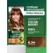 Garnier Persistent hair cream Color Naturals 6.34