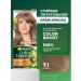 Garnier Persistent hair cream Color Naturals 7.1