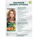 Garnier Persistent hair cream Color Naturals 7.132 - Buy Online on GoSupps.com