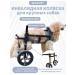Wheelchair for dog paws