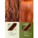 fito cosmetic Restoring cedar hair for hair - Buy Online on GoSupps.com