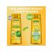 Garnier Hair shampoo Fructis triple recovery 400ml 2pcs - Buy Online on GoSupps.com