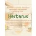 Herbarus Herbal tea leaf ginger energy 50 grams - Buy Online on GoSupps.com