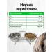 Mr Cat Dry food of 10 kg Dry Salmon - Buy Online on GoSupps.com