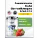 Siberian Nutrogunz BCA 2 1 1 - strawberries 225 g for muscle growth