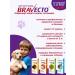 bravecto Dog tablets 20-40 kg term 08.2026 - Buy Online on GoSupps.com