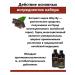Cosmetics Shampoo and air conditioning for dark hair growth 2*200 ml - Buy Online on GoSupps.com