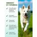 Vitrapets Vitamins for dogs of large breeds Mcom Maxi Adult Dog 60t - Buy Online on GoSupps.com