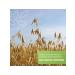 FooseedPlus Oats in the shell 10 kg for brewing - Buy Online on GoSupps.com
