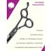 ThhairdresserscissorPro Scissors hairdressers 4 Black Edition - Buy Online on GoSupps.com