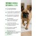 LAYTI Vitamins for the joints of cats and dogs - Buy Online on GoSupps.com