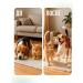 LAYTI Vitamins for the joints of cats and dogs - Buy Online on GoSupps.com