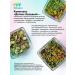 HerbafeeTech Complex Detox Basic ExpreCC 300g - Buy Online on GoSupps.com