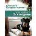Apicenna Helmimax-2 for small dogs 2 packages - Buy Online on GoSupps.com