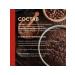 CocoEdge Cocoa powder 10-12% red Bensorp (1 kg) - Buy Online on GoSupps.com