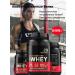 Protein serum Gold Standard Whey Milk chocolate - Buy Online on GoSupps.com