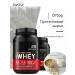 Protein serum Gold Standard Whey Milk chocolate - Buy Online on GoSupps.com