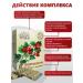 Altai traditions Hawthorn extract in capsules - Buy Online on GoSupps.com
