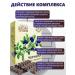 Altai traditions Capsula blueberries extract - Buy Online on GoSupps.com