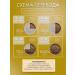 Grandorf Feed for cats dry 4 meat 2 kg - Buy Online on GoSupps.com