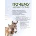 Aphrodite Hand cream with milk of donkeys 100 ml - Buy Online on GoSupps.com