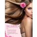 Rose of Bulgaria Hair shampoo and shower gel rose set 2 pcs - Buy Online on GoSupps.com