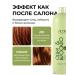 Kapous Shampoo and hair balm with Olivia and Avocado oils - Buy Online on GoSupps.com