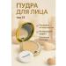 Technician Facial powder tone 13 - Buy Online on GoSupps.com