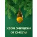 Wildly delicious Coniferous tea 2 packages - Buy Online on GoSupps.com