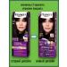 palette Hair Cream N2 Dark Casterate 3-0 3pcs - Buy Online on GoSupps.com