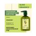 chi Olive Hair Conditioner Olive Organics Hair and Body - Buy Online on GoSupps.com